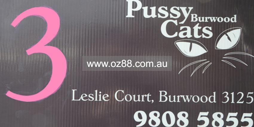Pussy Cats Burwood  Business ID： B15 Picture 3