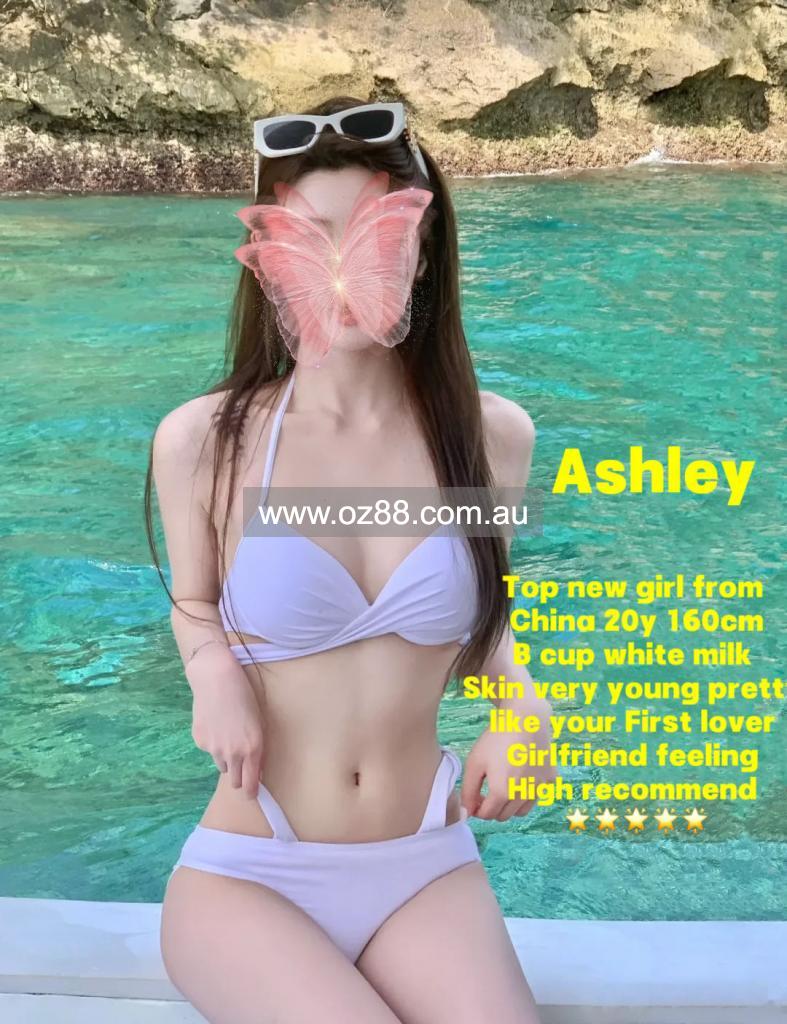 Sydney Girl Massage  Business ID： B3379 Picture 15