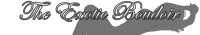 Exotic Boudoir Company Logo