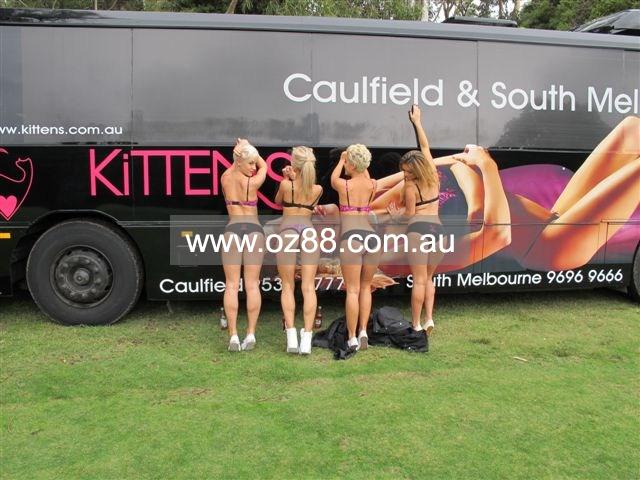 Kittens Stripclub Melbourne【Pic 5】   