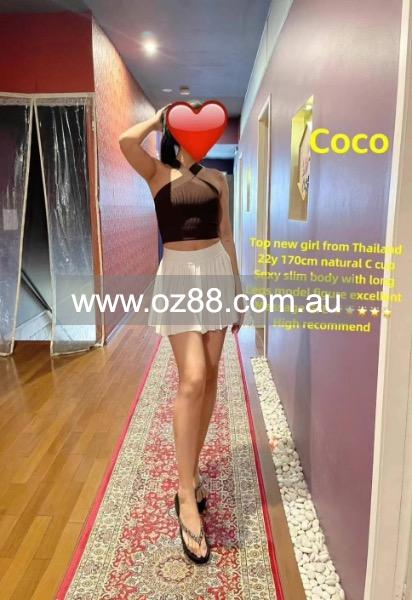 Coco | Sydney Girl Massage【Pic 1】   