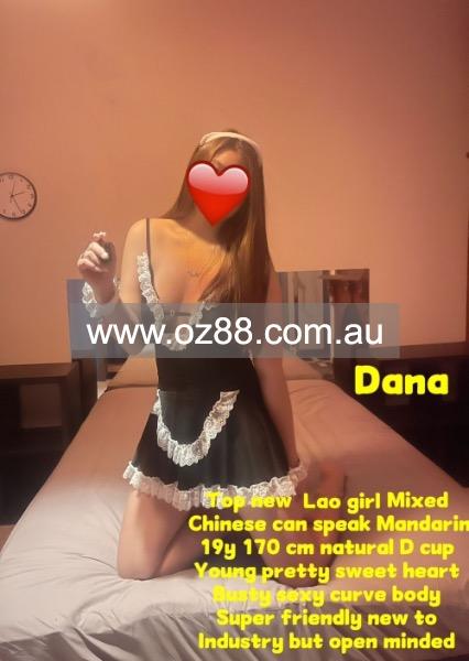 Dana | Sydney Girl Massage【Pic 1】   